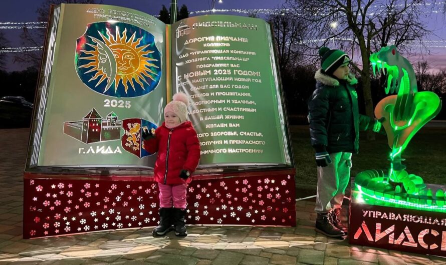 Новогодний бум, или Встретим как НАДО