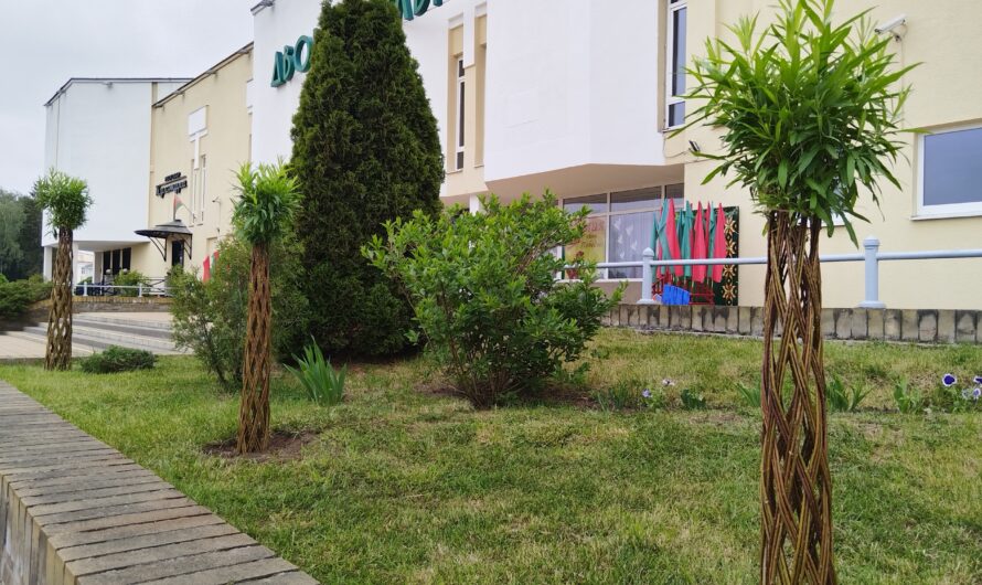 Год благоустройства