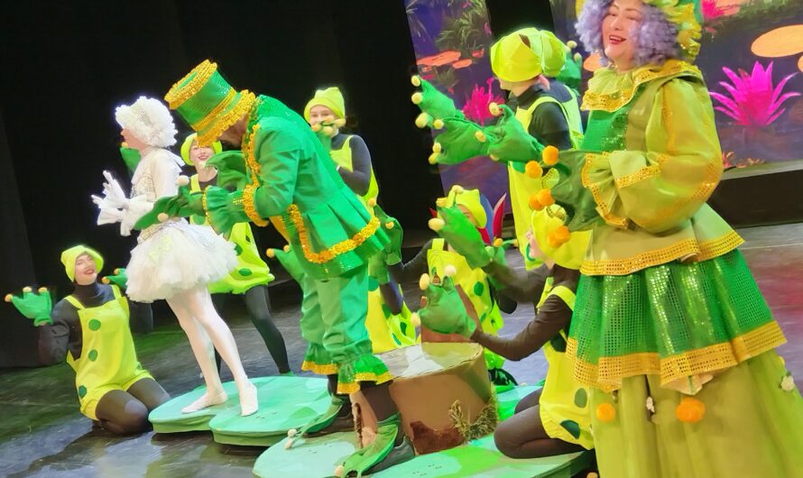 ПРЕМЬЕРНЫЙ показ новогодней программы «В поисках Деда Мороза»