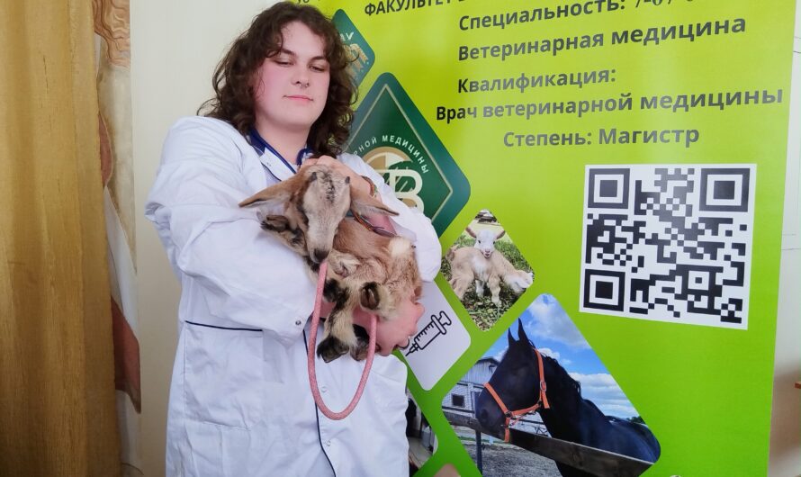 Вместо лекций — козлята и дегустации: Дворец культуры города Лиды стал центром аграрного креатива