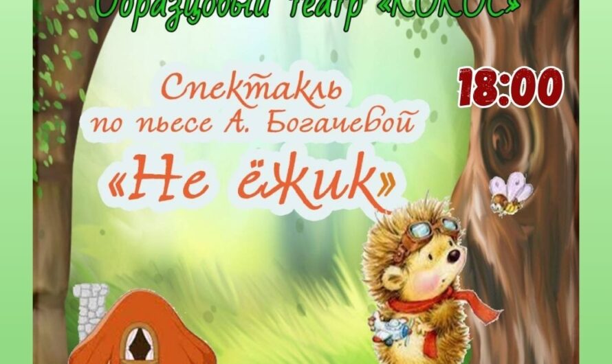 Спектакль по пьесе А. Богачёвой — «НЕ ЁЖИК»